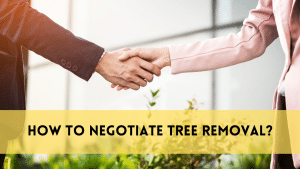 negotiate tree removal