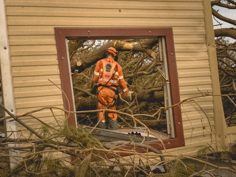 Emergency Tree Removal